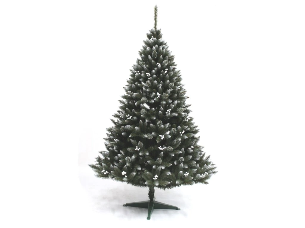 LUCFENYŐ FEHÉRBERKENYÉVEL - 220 cm